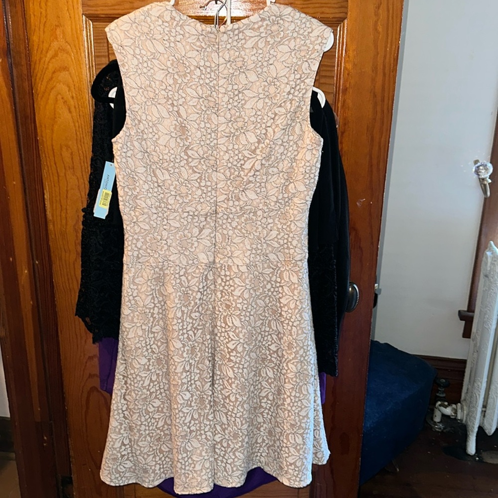 Antonio Melani Bardo cream lace dress. NWT size 8 - Picture 3 of 11